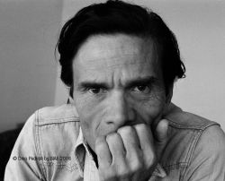 LAPILLI PEDRIALI PASOLINI