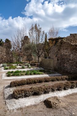 Orto Botanico di Pompei 5 250